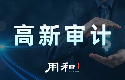 高新审计